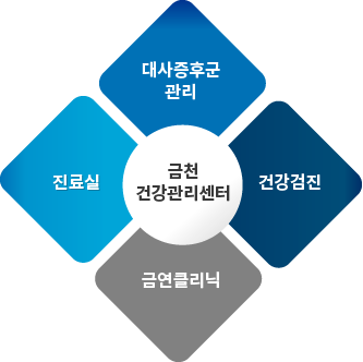 금천건강관리센터란 보건소 내 만성질환 예방관리 및 진료, 금연클리닉, 대사증후군관리 등을 하나의 공간으로 통합하여 대상자 중심의 포괄적 건강관리 서비스를 제공합니다.